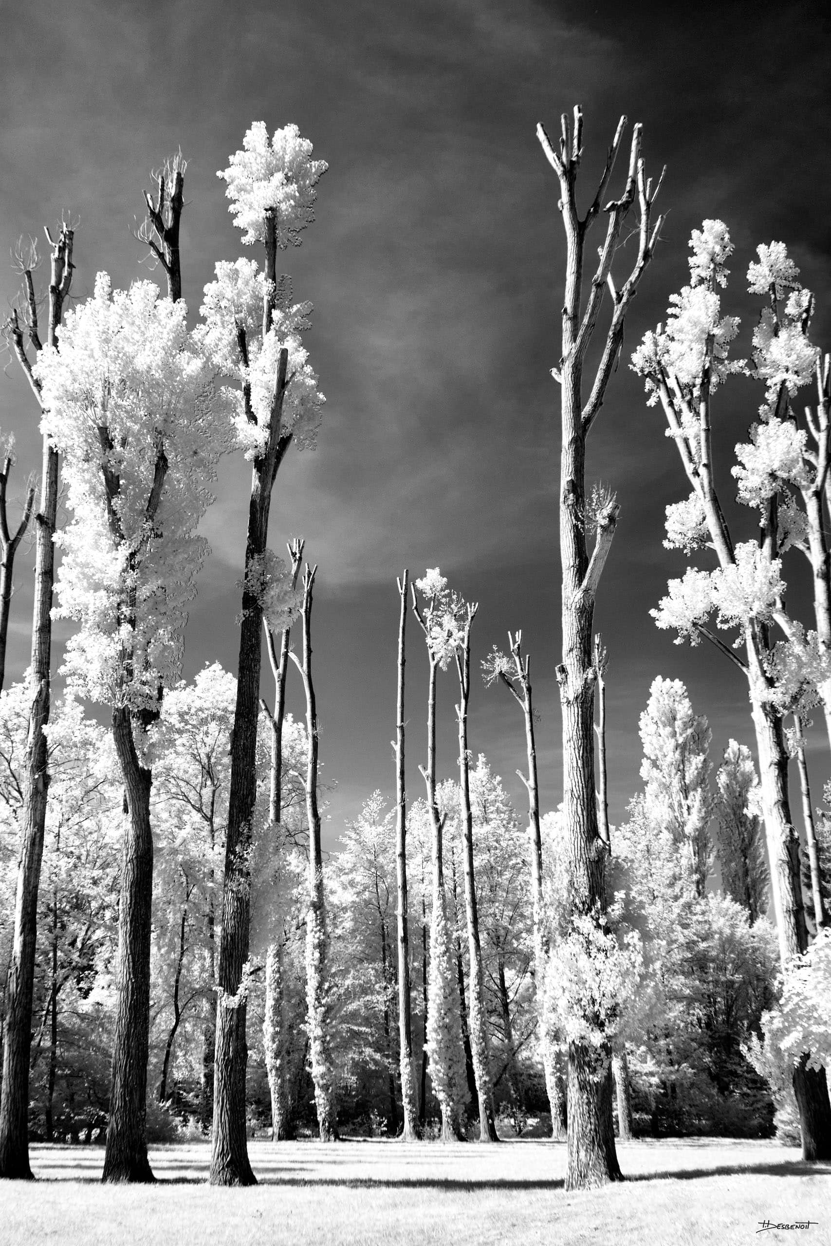 200527115454 MG 0127 1 X3N